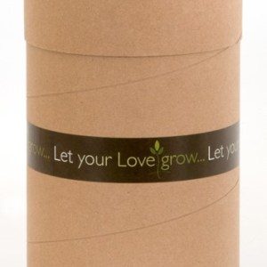 Let Your Love Grow – Large
