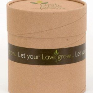 Let Your Love Grow – Medium
