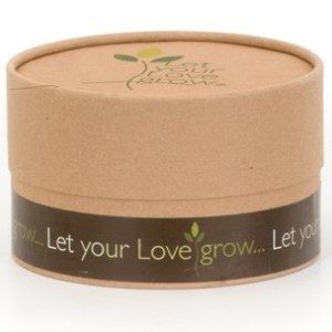Let Your Love Grow – Small