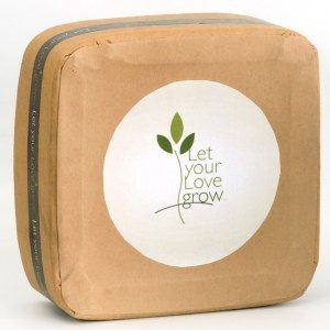 Let Your Love Grow – X-Large