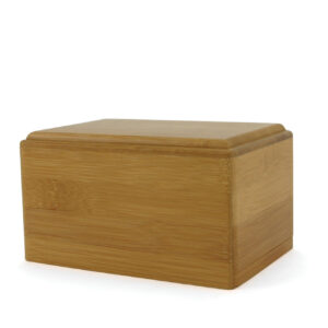 CB-40 – Bamboo Box – Extra Small