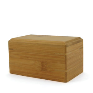 CB-25 – Bamboo Box – Petite