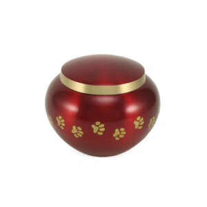 2920-40 – Odyssey Paw – Crimson – Extra Small