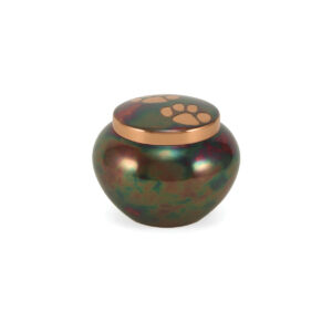 2889-25 – Odyssey Paw – Raku – Petite